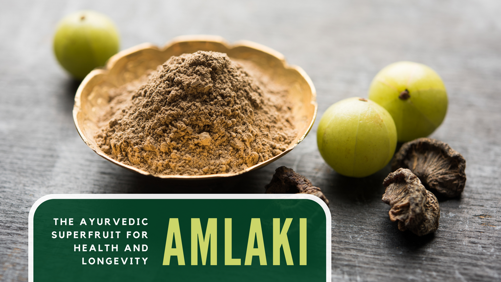 Amalaki: The Ayurvedic Superfruit for Health and Longevity