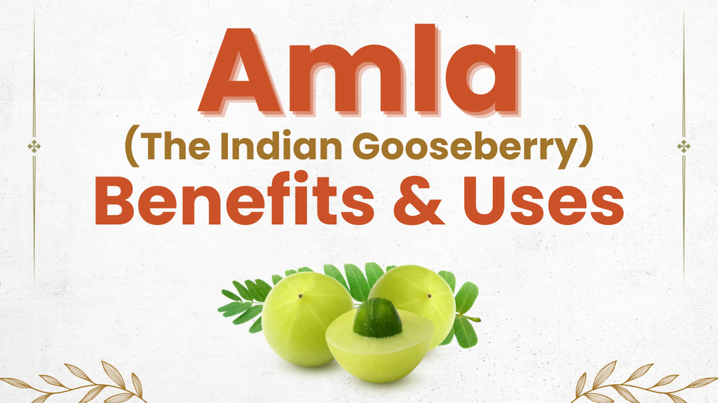 Amla - The Benefits & Uses