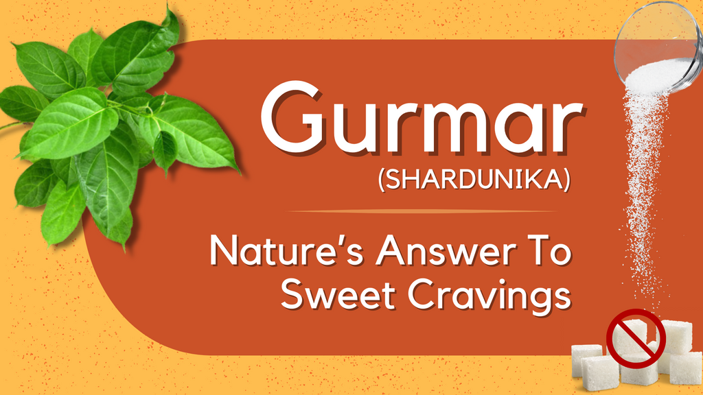 Gurmar (Shardunika) : Nature’s Answer To Sugar Cravings