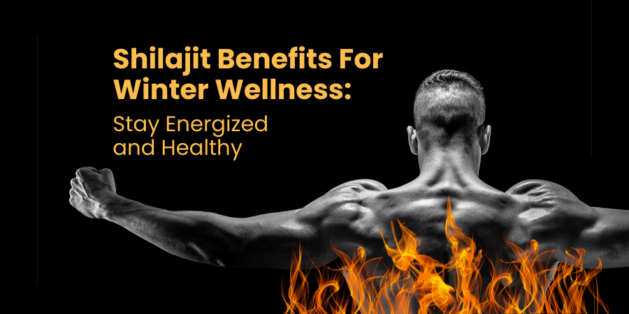 Shilajit Benefits For Winter Wellness: Stay Energized And Healthy