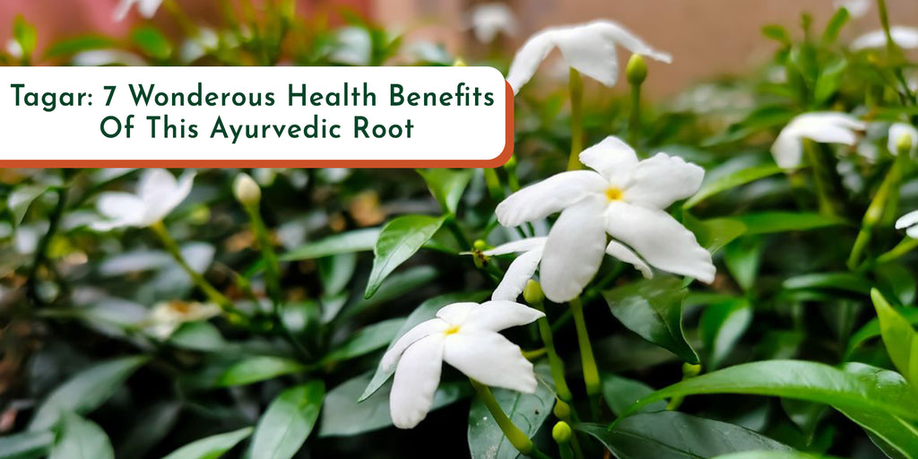 Ayurveda Blogs for Holistic Health & Natural Remedies | Garrysun ...