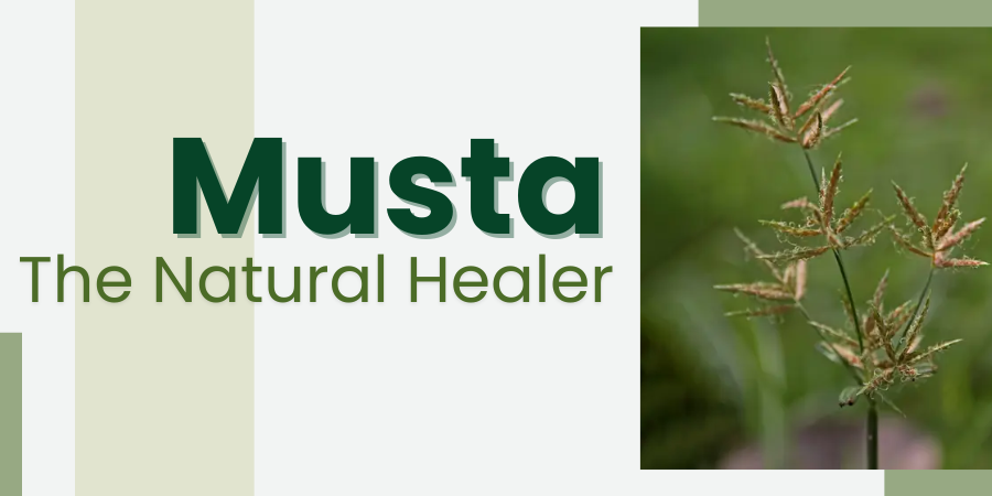 Musta powder- The Natural Healer