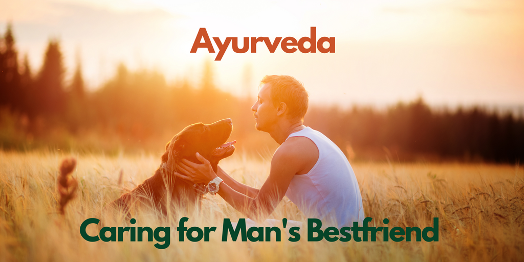Ayurveda Tips For Man's Best Friend