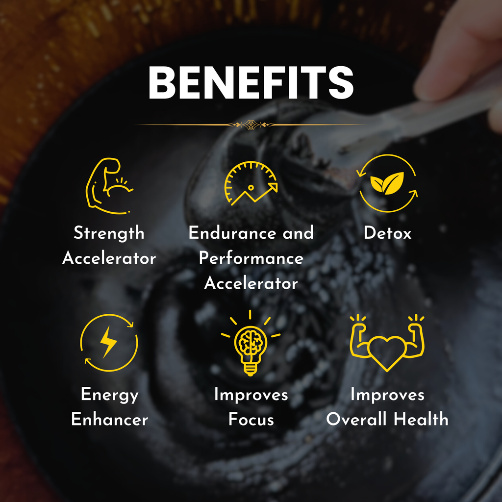 Pure Shilajit paste| 100% Natural Shilajit - Lab Tested - Contains 80.75% Fulvic Acid - Trace Minerals - Pure Natural Dietary Supplement - GARRY N SUN