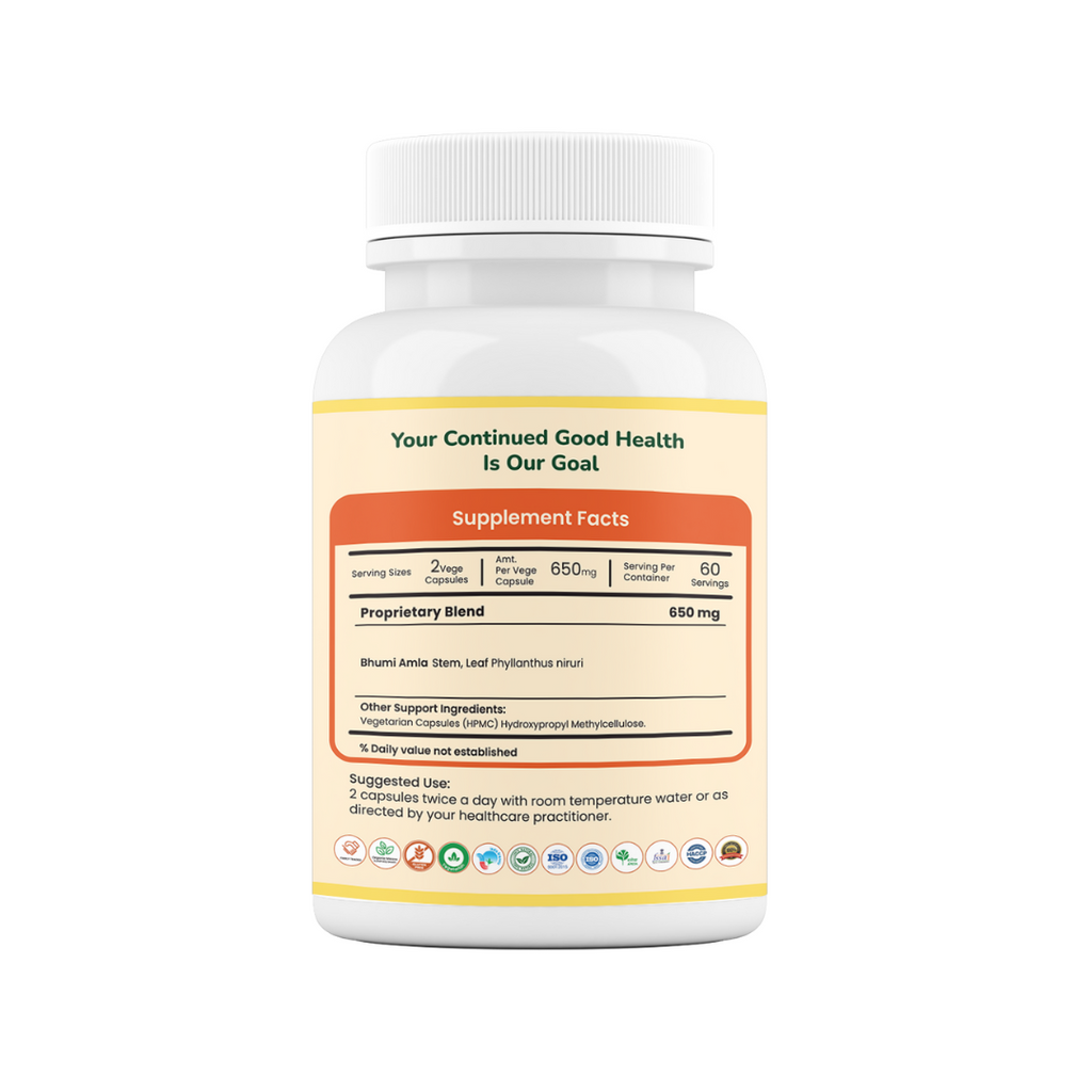 Bhumi-Amla (Phyllanthus niruri) Capsules - GARRY N SUN
